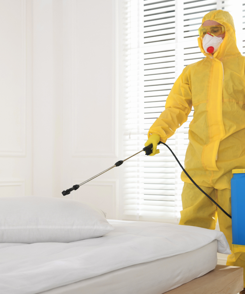Professional Pest Control Team in Mount Torrens